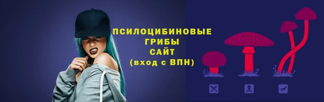 гашик Лиски