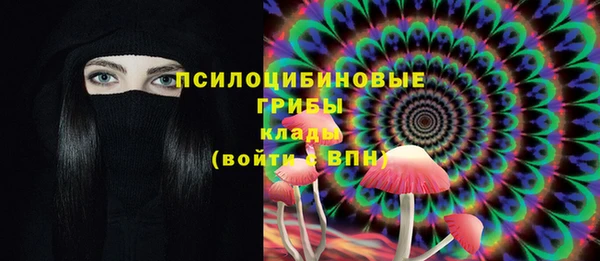 скорость Касимов
