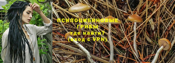 скорость Касимов
