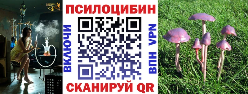 где можно купить наркотик  Сурск  Галлюциногенные грибы GOLDEN TEACHER 